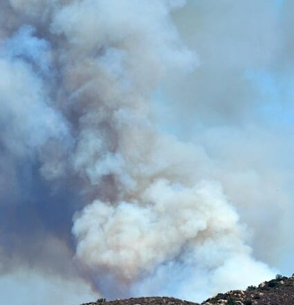 wildfire-4766789_640