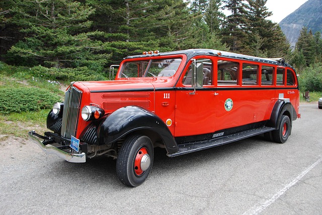 bus-60882_640