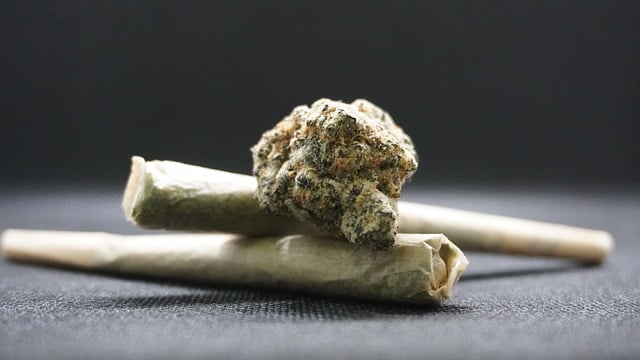 canabis-marijuana-bumps-8054140_640