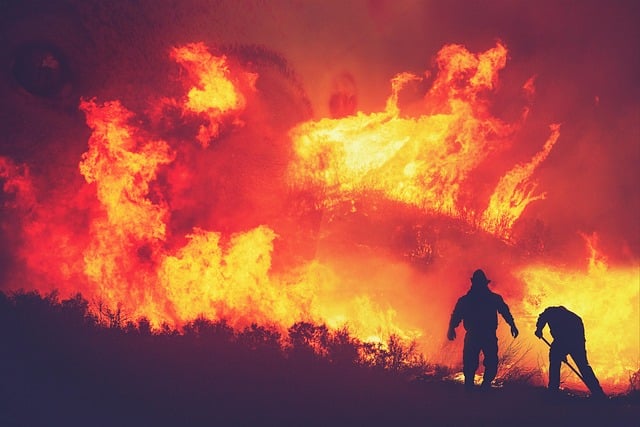 fire-5604682_640