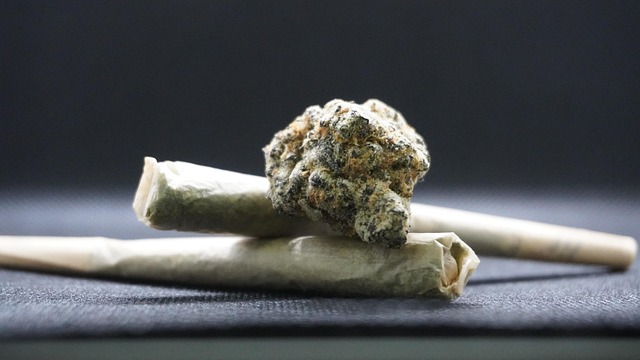 canabis-marijuana-bumps-8054145_640 canabis-marijuana-bumps-8054145_640