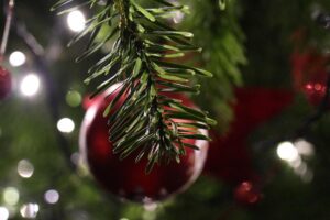 Governor and First Lady Gianforte Light Capitol Christmas Tree